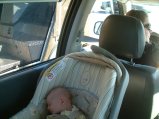 A sample thumbnail from a photo album entitled 'Various Pics of Owain'